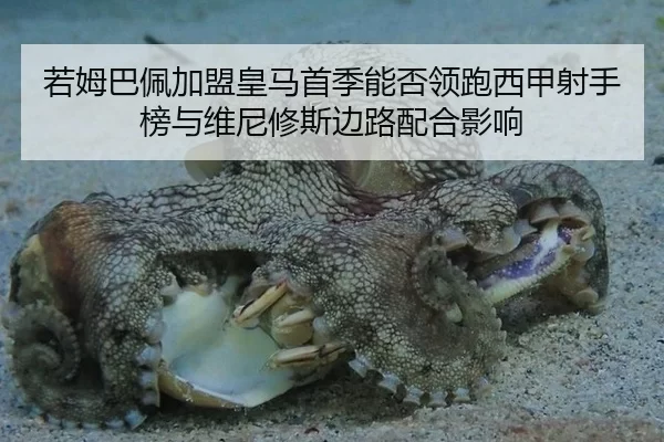 若姆巴佩加盟皇马首季能否领跑西甲射手榜与维尼修斯边路配合影响