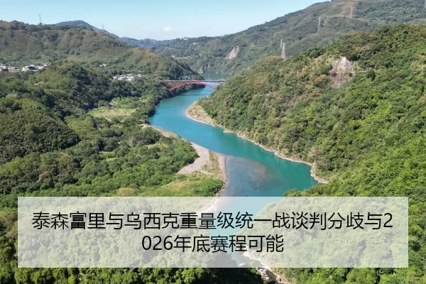 泰森富里与乌西克重量级统一战谈判分歧与2026年底赛程可能