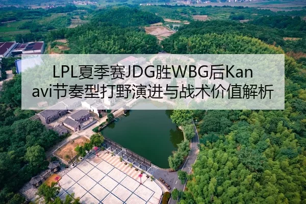 LPL夏季赛JDG胜WBG后Kanavi节奏型打野演进与战术价值解析